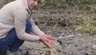 Osmaniye'de şiddetli yağış sonrası iki can kurtarıldı