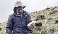 Erzincan dağlarında yetişen çaşır mantarı fiyatıyla şaşırtıyor