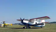 Kazakistan'da hafif uçak düştü Bir pilot hayatını kaybetti