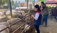 Aydın’da bayram mesaisi sahada başlıyor