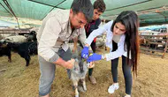 Kepez’de bayram hazırlığı başladı Kurban alanları denetim altında