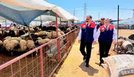 Mersin'de kurban pazarları bayram öncesi mercek altına alındı