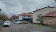 Bingöllü gönüllüler kiraladıkları evde sokak kedilerine yuva kurdu