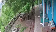 Malatya depreminde kedilerin korku dolu anları kameraya yansıdı