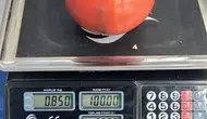 Aydın pazarında dev domates şaşkınlığı
