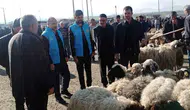 Çaldıran pazarında kurban alışverişine manevi rehberlik