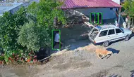 Mersin sokaklarında kurbanlık kovalamacası