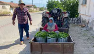 Üzüm hasadı öncesi üreticinin yüzünü yaprak güldürüyor