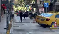 Bornova Küçükpark'ta kurbanlık dana paniği