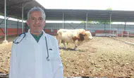 Kurbanlık hayvanlarınızı kesime hazırlarken bu kurallara dikkat edin