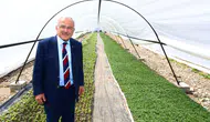 Ordu dışarıdan çiçek almayı bıraktı kendi serasında üretiyor
