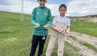 Kars kırsalında yağmur sonrası mantar bereketi yaşanıyor