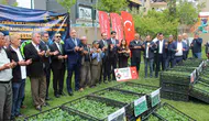 Şırnaklı çiftçinin tarlası fide desteğiyle yeniden hayat buluyor