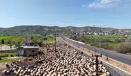 Göçerlerin asırlık yolculuğu havadan görüntülendi