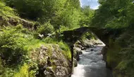 Ordu'nun gizli kalmış doğa harikası Çamaş Kanyonu keşfedilmeyi bekliyor