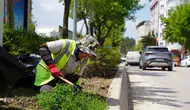 Bilecik yaza hazırlanıyor Parklar ve refüjler çiçek açıyor