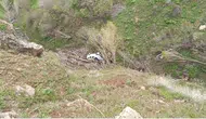 Van'da uçuruma yuvarlanan araçtan atlayarak canlarını kurtardılar
