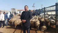 Şanlıurfa kurban pazarında fiyat pazarlığı kızışıyor