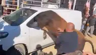 Ankara'da kurbanlık boğa minibüsün içine girmeye çalıştı