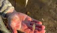 Abant Gölü'ndeki balıkçıyı şaşırtan alabalık avı