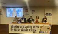 Başıboş köpek saldırısı mağdurları Ankara'da çözüm aradı