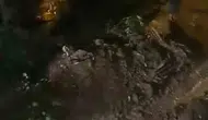 Ardeşen'de şiddetli yağış köy yolunu trafiğe kapattı