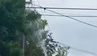 Aksaray'da elektrik direğinde can pazarı