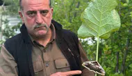 Erzurum Oltu’da tropikal sürpriz