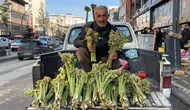 Yüksekova’da yayla muzu mesaisi başladı