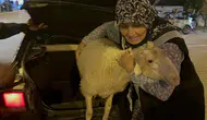İznikli Müyesser teyzenin kuzu hasreti mutlu bitti