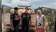 Didim’de çalınan kurbanlıklar jandarmanın takibiyle bulundu