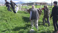 Erzurum'da kurban telaşı acıyla sonuçlandı