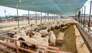 Selçuklu'da bayram mesaisi başlıyor