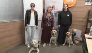 Türkiye’de sadece 8 rehber köpek var 300 kişi sıra bekliyor