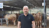 Kurban etini saklarken bu hatalara düşmeyin