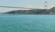 İstanbul Boğazı’nda sabah saatlerinde yunus şöleni yaşandı