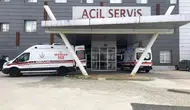 Tekirdağ'da arı saldırısı yaşlı çifti hastaneye düşürdü