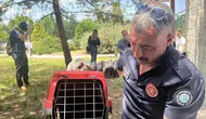 Eskişehir’de poliklinik binasında mahsur kalan sansar kurtarıldı