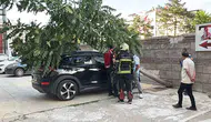 Kayseri'de park halindeki araca ağaç devrildi
