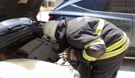 Arsuz’da araç motoruna sıkışan yavru kedi kurtarıldı