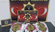 Siirt polisinden büyük operasyon dalgası