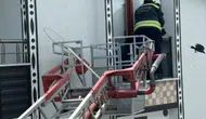 Tekirdağ'da mahsur kalan kargayı itfaiye ekipleri kurtardı