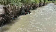 Kelkit Çayı’nda 24 gündür süren umutlu bekleyiş