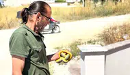 Sakarya’da yılan paniğini tek başına bitiren belediye personeli