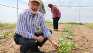 Kayseri’nin merkezinde 60 bin fide toprakla buluştu