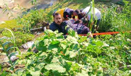 Antakya’da motosiklet dereye uçtu