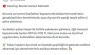 Kaçak avcılara yaban keçisi faturası ağır oldu