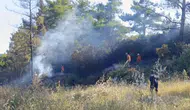 Manavgat'ta bir kıvılcım ormanı yakıyordu