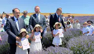 Tekirdağ'da karne günü mor tarlaların arasında kutlandı