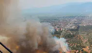 Nazilli zeytinliklerinde öğleden sonra başlayan yangın paniği